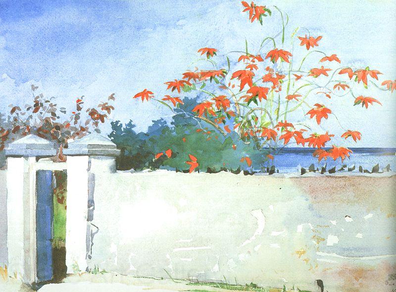 Winslow Homer A Wall, Nassau Spain oil painting art